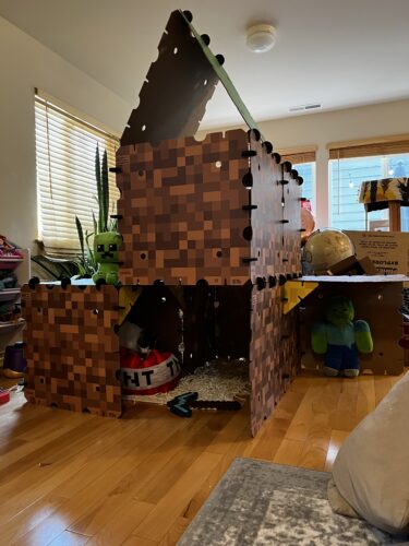 Minecraft Explorer Kit