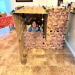 Minecraft Explorer Kit photo review